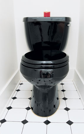
Glass-block walls and hints of red accent contrast with black and white tiling and amenities to revivify this bathroom. Ceramic tile can be a green, low-cost, remodeling alternative.
